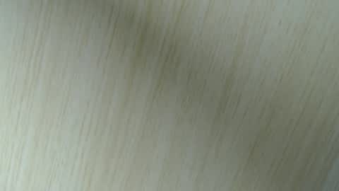 Aurora Willows online show from April 18, 2:48 am