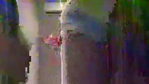 Snapshot of 14pocketpussy12 chatting on December 15, 2:10 pm 14pocketpussy12 online show from December 15, 2:10 pm