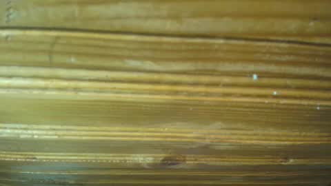 Snapshot of 19carla chatting on February 21, 11:44 am Carl the good girl online show from February 21, 11:44 am