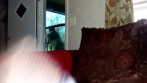 Snapshot of 2ccjbstar chatting on February 22, 4:16 pm BlacJewels online show from February 22, 4:16 pm