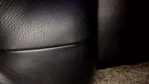 30nick online show from January 18, 6:39 am