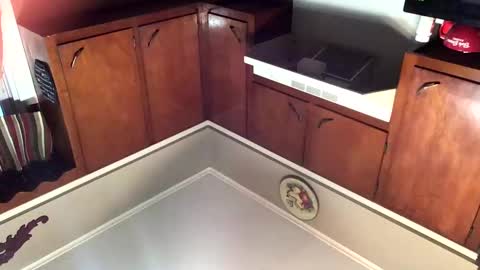 Snapshot of 33adidas chatting on November 8, 11:54 am 33adidas online show from November 8, 11:54 am