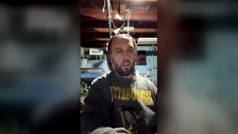 33adidas online show from March 15, 10:32 am