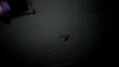 4j_n online show from April 27, 2:53 am