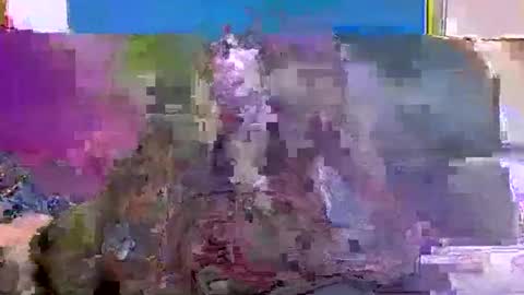 4nuf online show from January 15, 7:48 am