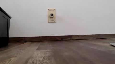 Steven online show from January 13, 11:04 am