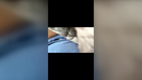 59panhead online show from April 25, 7:33 pm