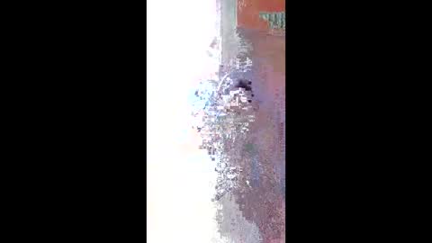 Zeus online show from April 22, 11:23 am