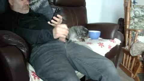 66bear online show from October 31, 5:47 pm