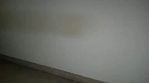 69___pas online show from November 6, 8:04 am