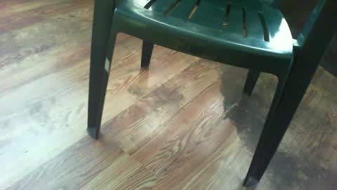 Snapshot of 69forever453443 chatting on September 15, 1:00 pm 69forever453443 online show from September 15, 1:00 pm