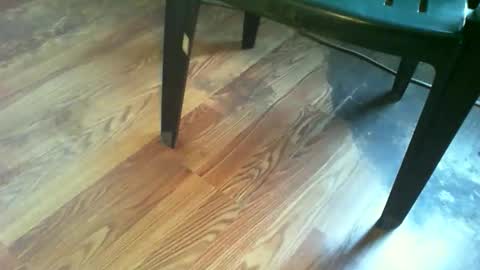 69forever453443 online show from November 19, 1:22 pm