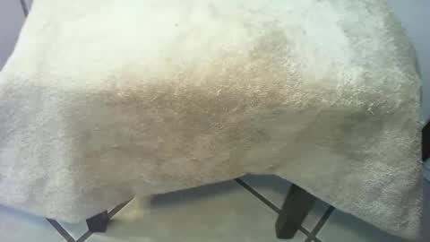 Snapshot of 69forever453443 chatting on March 15, 2:56 pm 69forever453443 online show from March 15, 2:56 pm