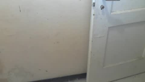 69pifpaf online show from January 31, 2:17 pm