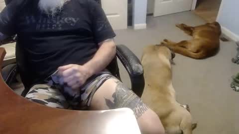 Snapshot of 70paborn chatting on October 13, 5:02 pm MASTIFF online show from October 13, 5:02 pm