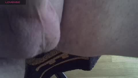 Snapshot of 81_harterschwanz chatting on November 15, 10:12 am Maximilian Max online show from November 15, 10:12 am