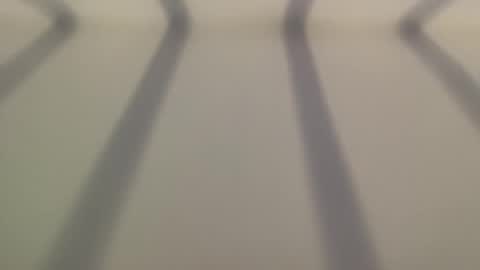 8675309jc online show from December 2, 8:48 pm