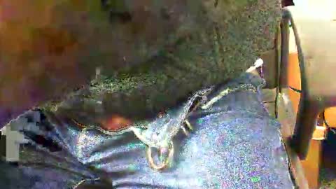 99zeus9 online show from November 27, 1:46 pm