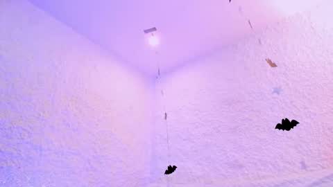 Alexander online show from October 28, 2:42 pm