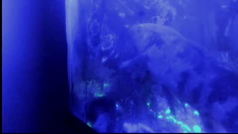 Snapshot of _always__horny chatting on October 29, 4:37 am Giulia...... online show from October 29, 4:37 am