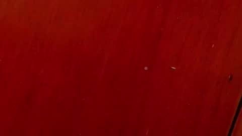 Any online show from October 4, 7:01 pm