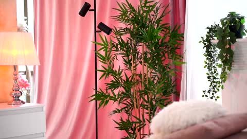 Arielle online show from February 7, 9:37 am