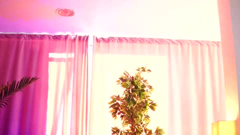 Arielle online show from February 14, 12:25 pm