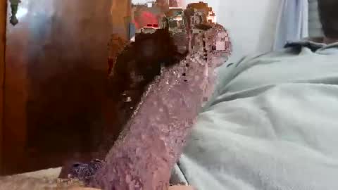 _black_horse_1 online show from December 4, 2:43 am