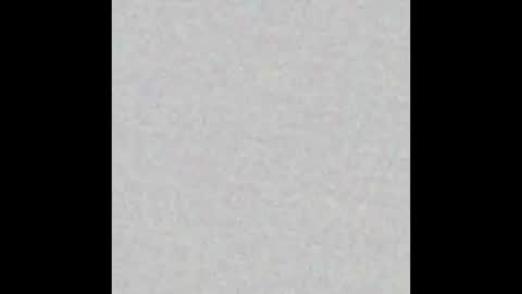 Brenda online show from February 17, 12:48 pm