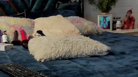 Brenda online show from March 8, 12:20 pm