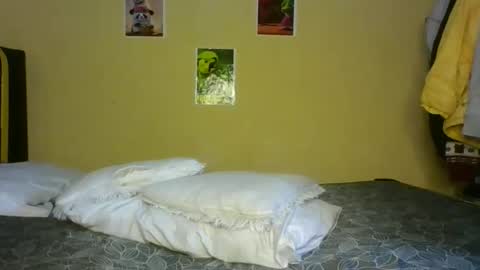  cookie23 online show from November 22, 6:56 am