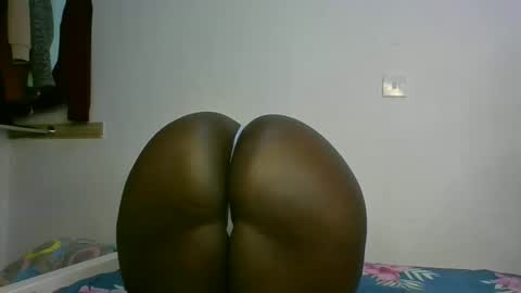  cookie23 online show from January 18, 8:07 am