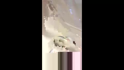 Snapshot of _da_d1ck_ chatting on March 2, 6:08 pm Da d1ck online show from March 2, 6:08 pm