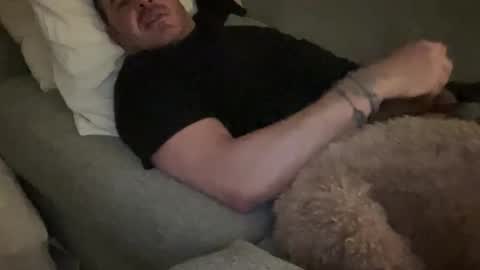 _direwolf_ online show from February 4, 3:45 am