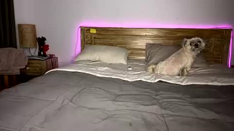 elisa online show from December 15, 8:07 am