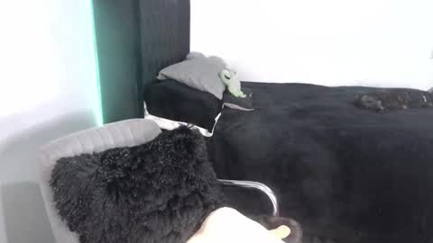 Snapshot of _ergo_proxy chatting on September 25, 2:15 am Proxy online show from September 25, 2:15 am