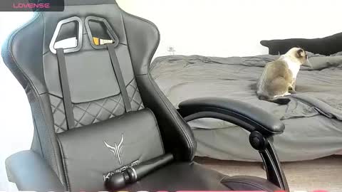 Alis online show from October 7, 7:27 am