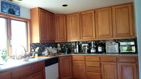 Snapshot of _frankie_rivers chatting on March 6, 10:58 pm Frankie Rivers allmylinks online show from March 6, 10:58 pm