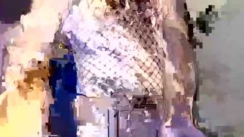  incocknito  online show from December 16, 5:40 pm