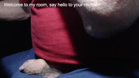 _jimmini online show from February 21, 4:16 pm