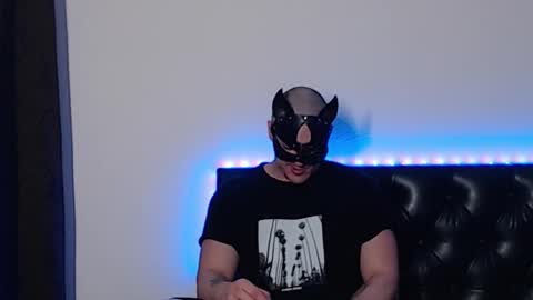 Joni online show from November 18, 3:45 am