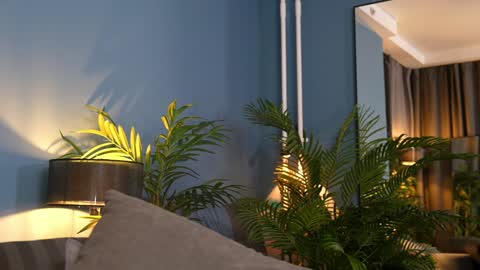 FANSLY ---   anal in private 700 tokens online show from November 7, 5:13 pm