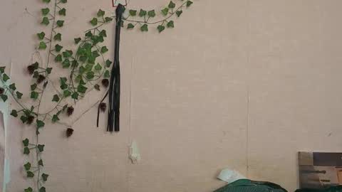 _kikiclark_ online show from February 27, 9:20 am