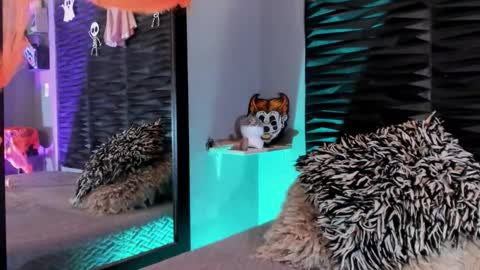 _lustyles_ online show from October 31, 4:02 am