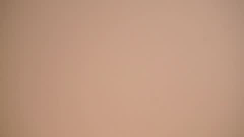  Gwen  online show from April 13, 8:53 am