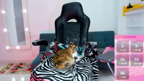 Juli online show from February 3, 6:02 pm