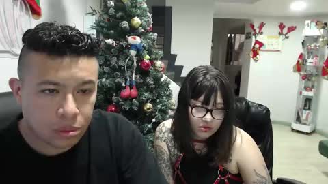 Panda  online show from November 21, 7:45 pm