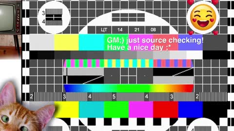  HADLY today day-off see u online 0112  online show from December 9, 11:26 am