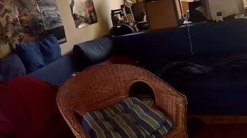 Snapshot of _svenerd87___ chatting on October 30, 1:23 pm Sven online show from October 30, 1:23 pm