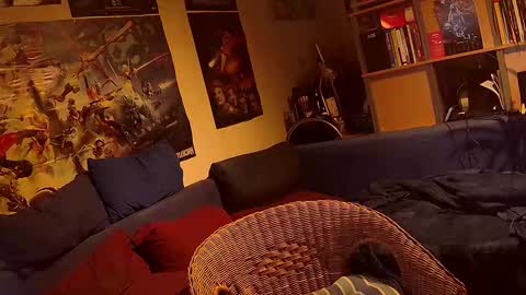 Snapshot of _svenerd87___ chatting on November 20, 10:31 pm Sven online show from November 20, 10:31 pm